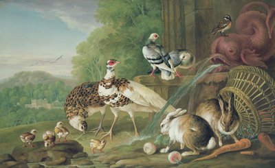 الطيور والأرانب بواسطة بيتر كاستيلز